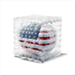 Bubble-Wrapped Democracy: Protecting America's Fragile Foundations Posters and Art